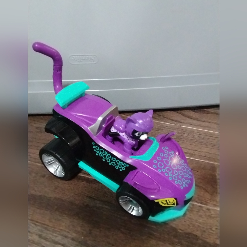 Paw Patrol Cat